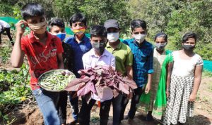 Edible School Children celebrated harvesting